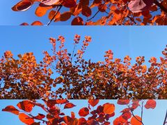 -周口店坡峰岭风景区