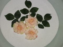 -Dragonfly 悠庭·按摩Spa(苏州中心广场店)