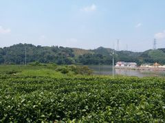 -亚婆田·白水寨生态旅游度假区