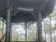 -四明山国家森林公园