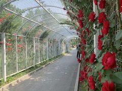 -太阳宫公园