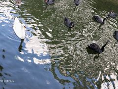 -长白岛森林公园