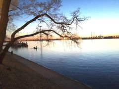 -人民防洪胜利纪念塔