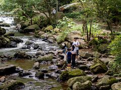 -广州市石门国家森林公园