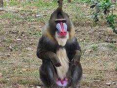 -常州淹城野生动物世界