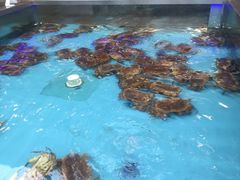 -盒马鲜生(宝地店)