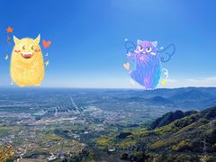 -阳台山自然风景区