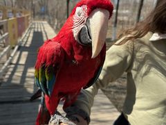 -水上乐园·欢乐世界