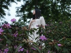 -东莞植物园