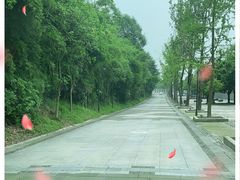 -青城山