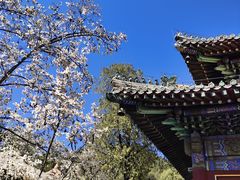 -潭柘寺景区