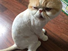 -宠颐生中康贝怡动物医院