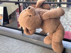 -宁波杉井奥特莱斯广场