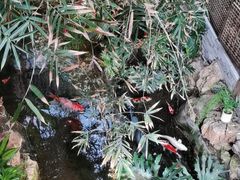 -聚缘堂·海鲜私房菜(松岭路店)