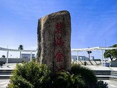 -碧海金沙