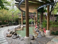 -张家港金凤凰度假村温泉