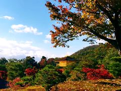 -有栖山 清光院 清水寺