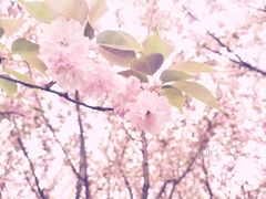 -天鹅湖体育公园