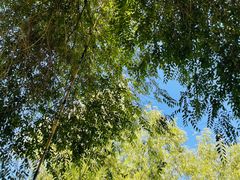 -酷鱼垂钓CLUB(朝阳区博大路店 )