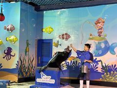 -太平洋海底世界