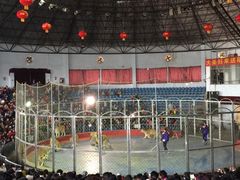 -西安秦岭野生动物园