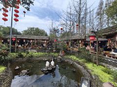 -青城甲(青城山店)