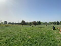 -汉长安城未央宫国家考古遗址公园