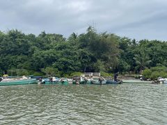 -东寨港红树林旅游区