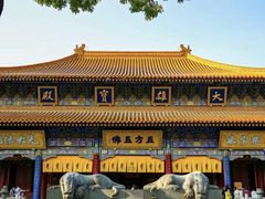 -西安大兴善寺