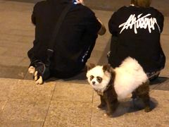 -九眼桥码头旧址