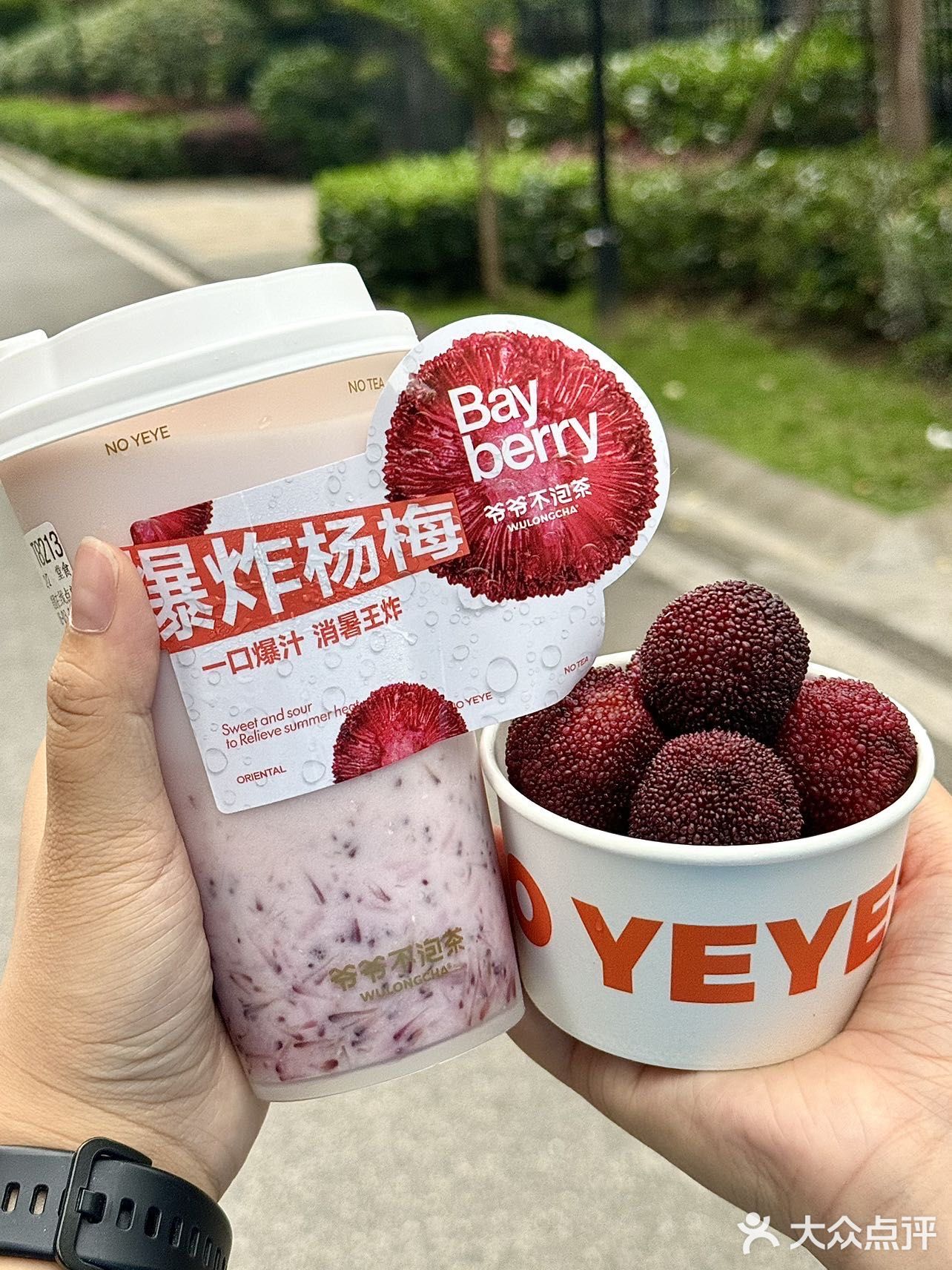 爷爷不泡茶最伟大的单品—桂花米酿升级ju好喝