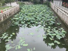 -水绘园
