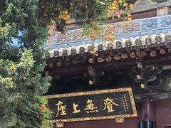 -洛阳白马寺