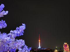 -武汉两江游览·夜游长江(汉口粤汉码头)