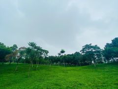 -洨河生态公园