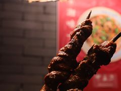 红柳枝羊肉串-湘里乡亲甲王二老店