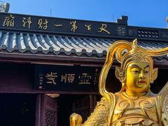 -野蔓果·山野菜(西湖景区·龙井茶田店)