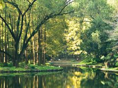 -上海共青森林公园