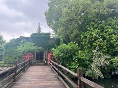 -乌镇西栅景区