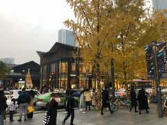 -成都尼依格罗酒店