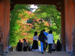 -醍醐寺