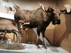 -陕西自然博物馆