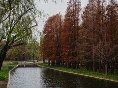 -共青国家森林公园-售票处