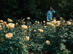 -人民公园(罗湖区)