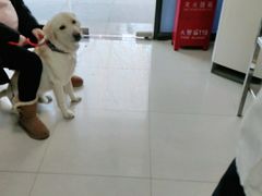 -申普宠物医院·眼科·心内科·影像科(普陀分院)