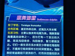 景点-多彩贵州城极地海洋世界