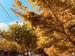 -苏州河梦清园环保主题公园