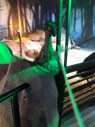 -酷嗒动物文化乐园(cutezoo西溪乐天城店)