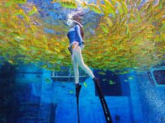 -三亚海昌梦幻海洋不夜城