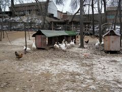 -1982农场
